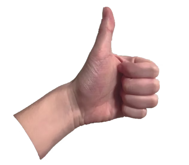 Yes, I am Honghan Li